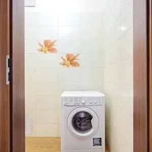 Apartment Wilanowska *